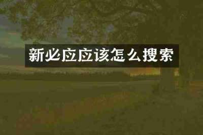 新必应应该怎么搜索