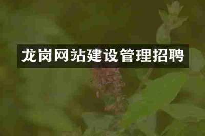 龙岗网站建设管理招聘