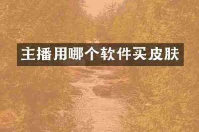 主播用哪个软件买皮肤