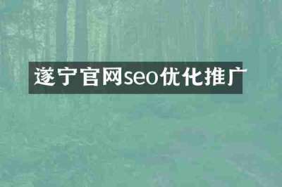 遂宁官网seo优化推广