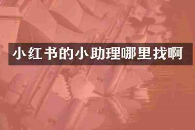 小红书的小助理哪里找啊