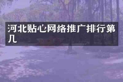 河北贴心网络推广排行第几