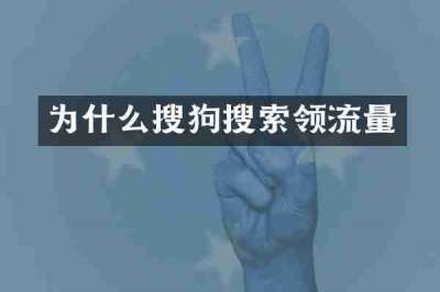 为什么搜狗搜索领流量