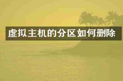 虚拟主机的分区如何删除