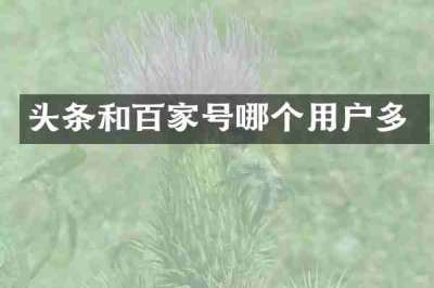 头条和百家号哪个用户多