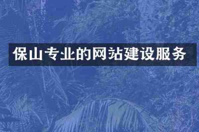 保山专业的网站建设服务
