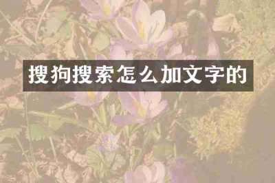 搜狗搜索怎么加文字的