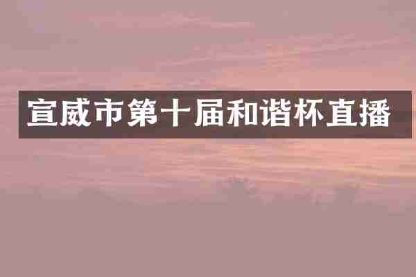 宣威市第十届和谐杯直播