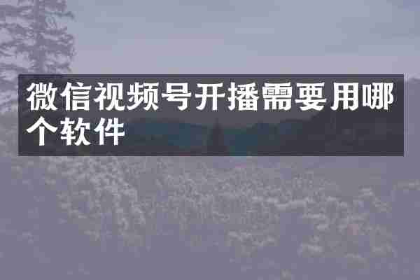 微信视频号开播需要用哪个软件