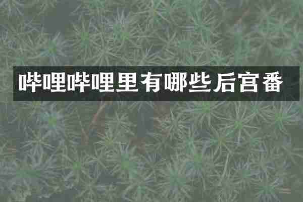 哔哩哔哩里有哪些后宫番