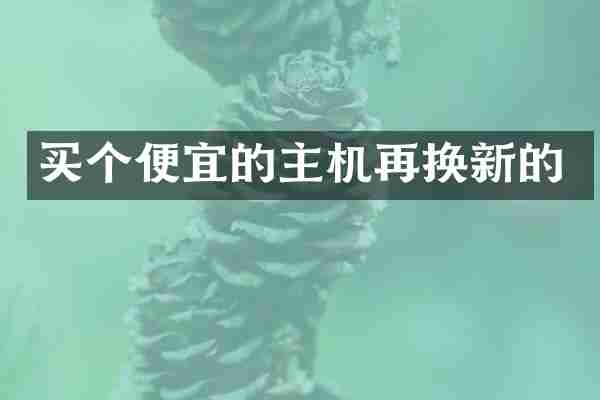 买个便宜的主机再换新的