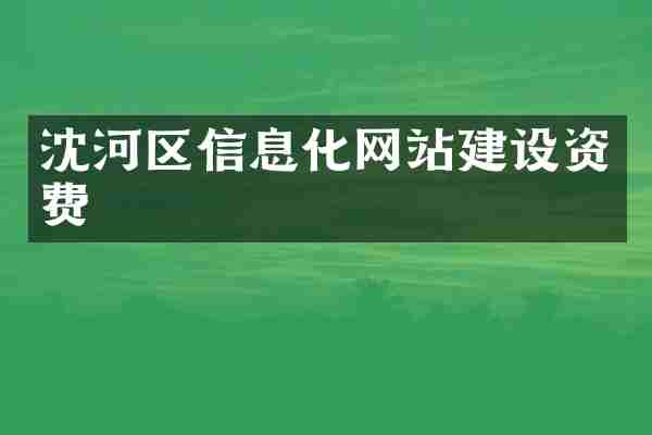 沈河区信息化网站建设资费