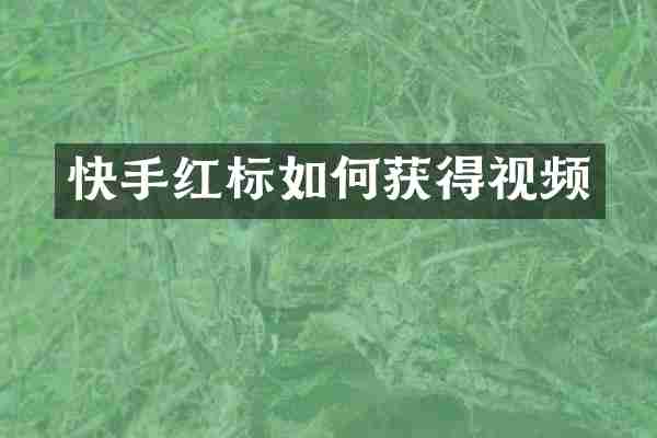 快手红标如何获得视频