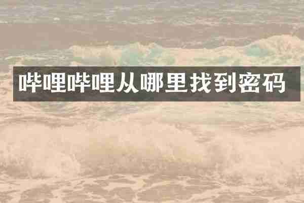 哔哩哔哩从哪里找到密码