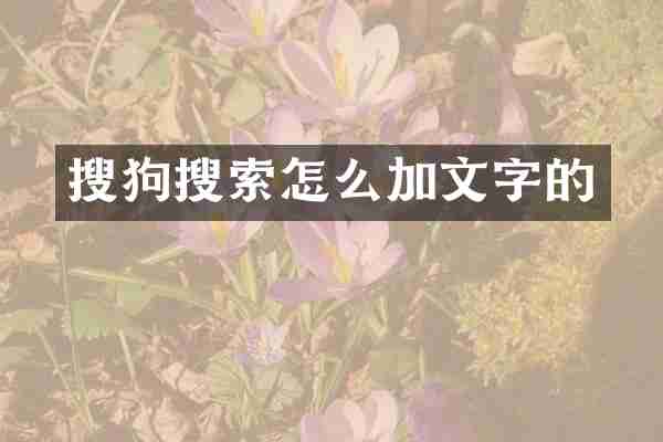 搜狗搜索怎么加文字的