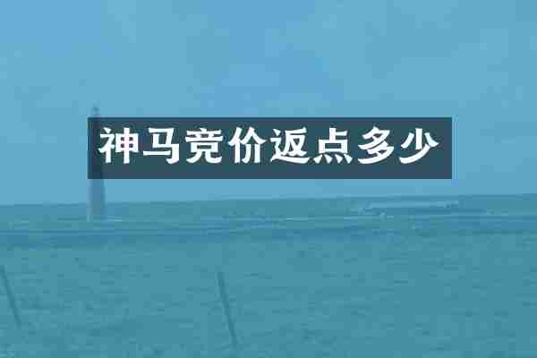 神马竞价返点多少