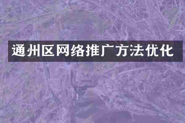 通州区网络推广方法优化