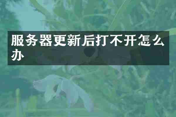 服务器更新后打不开怎么办