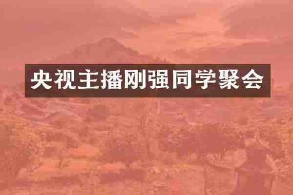 央视主播刚强同学聚会