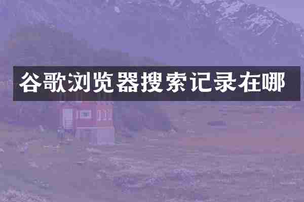 谷歌浏览器搜索记录在哪