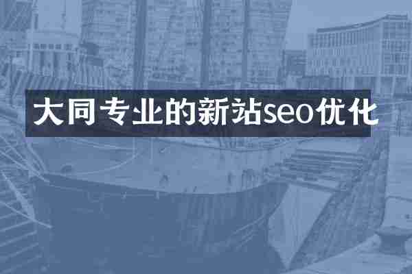 大同专业的新站seo优化