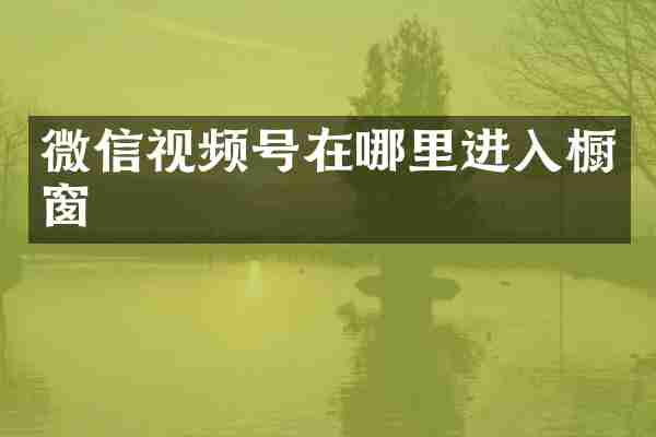 微信视频号在哪里进入橱窗