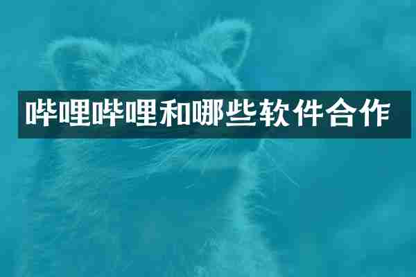 哔哩哔哩和哪些软件合作