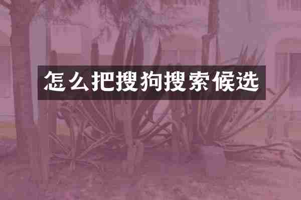 怎么把搜狗搜索候选