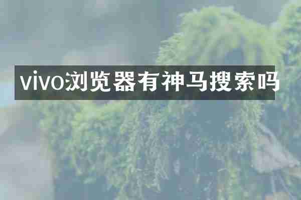vivo浏览器有神马搜索吗