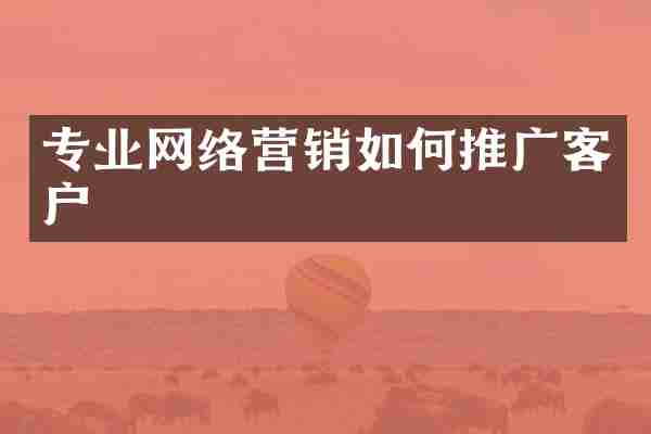 专业网络营销如何推广客户