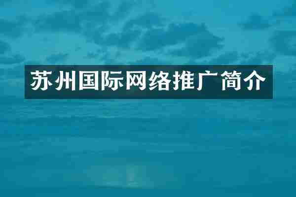 苏州国际网络推广简介