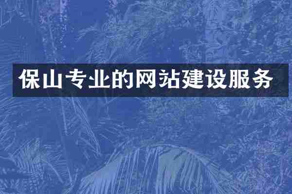 保山专业的网站建设服务