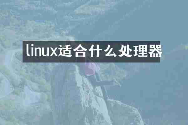 linux适合什么处理器