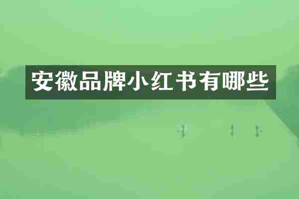 安徽品牌小红书有哪些