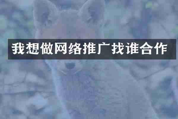 我想做网络推广找谁合作