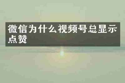 微信为什么视频号总显示点赞