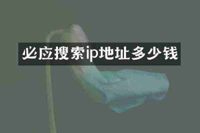 必应搜索ip地址多少钱