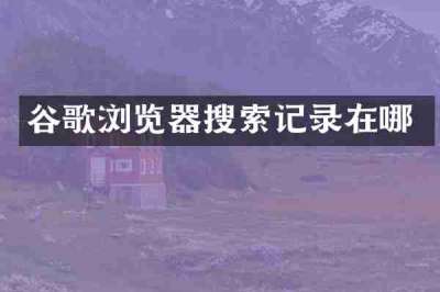谷歌浏览器搜索记录在哪
