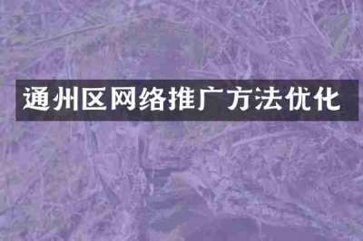通州区网络推广方法优化