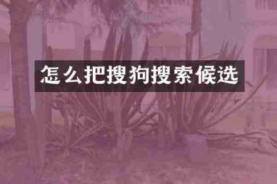 怎么把搜狗搜索候选