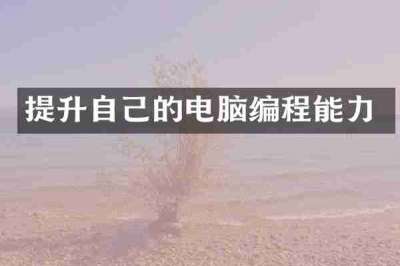 提升自己的电脑编程能力