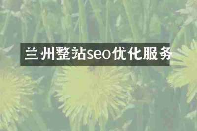 兰州整站seo优化服务