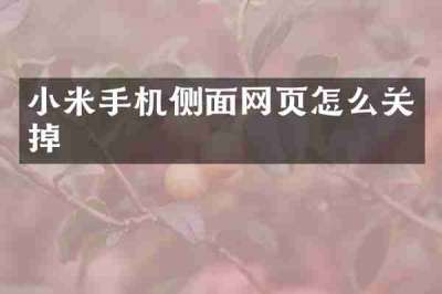小米手机侧面网页怎么关掉