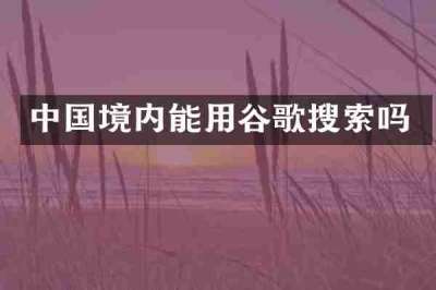 中国境内能用谷歌搜索吗
