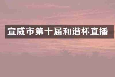 宣威市第十届和谐杯直播