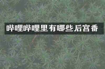 哔哩哔哩里有哪些后宫番