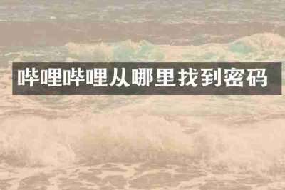 哔哩哔哩从哪里找到密码