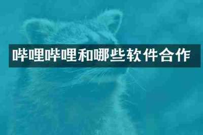 哔哩哔哩和哪些软件合作