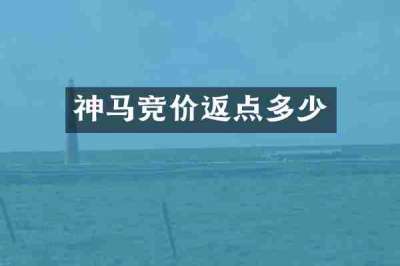 神马竞价返点多少