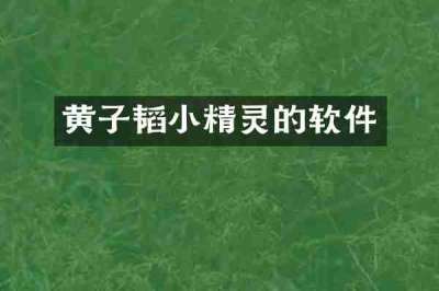 黄子韬小精灵的软件